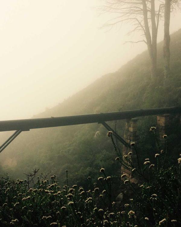 Microsoft Office 365